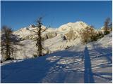 Planina Zajavornik - Debeli vrh nad Lipanco